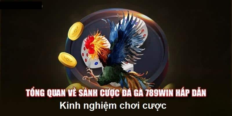 Kinh nghiệm bỏ túi cho kê thủ 789win