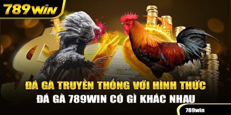 Top 3 thể loại chọi kê cuốn không lối thoát 789win